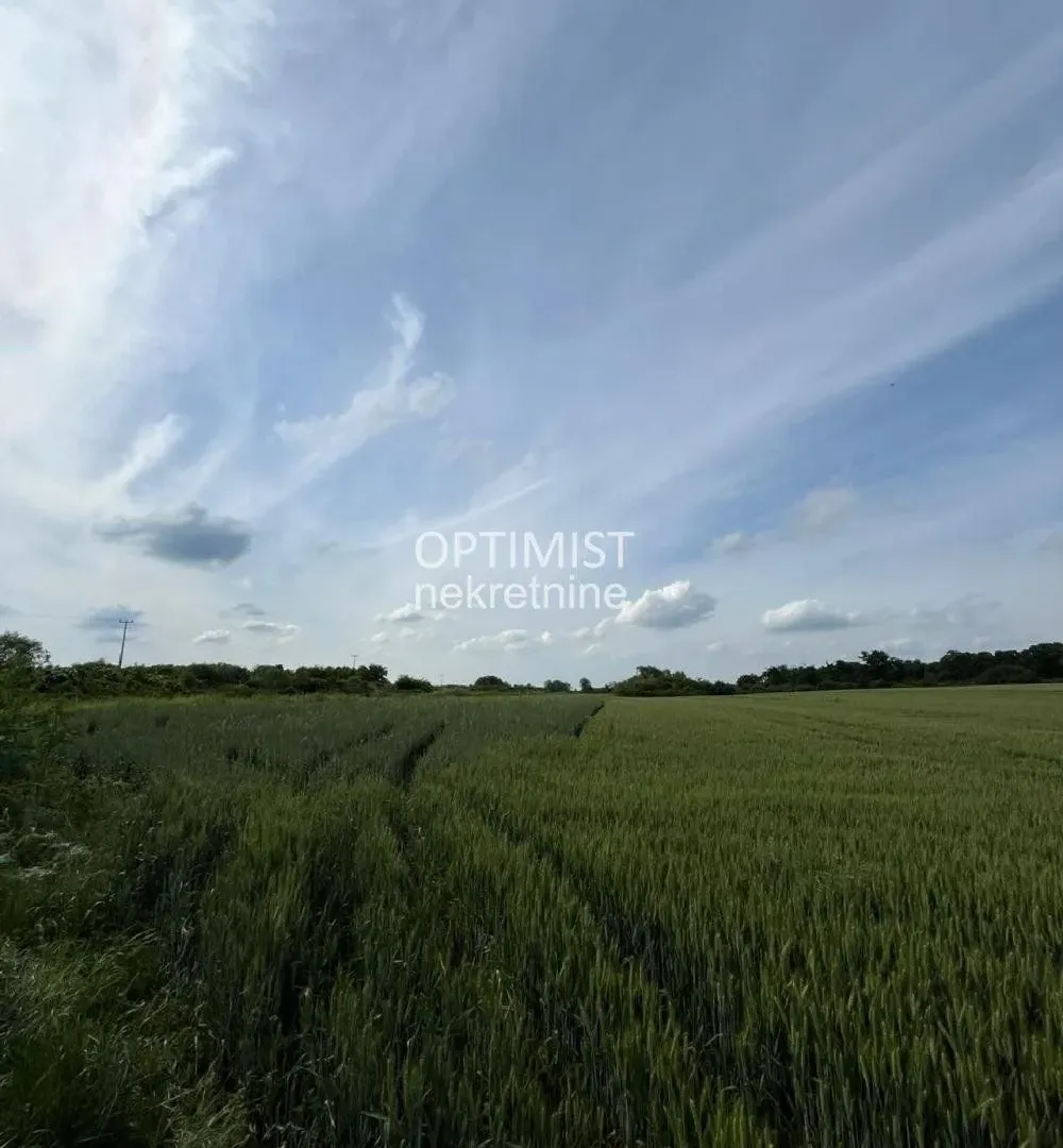 Prodaja, plac, 8683m², Surčin, Beograd