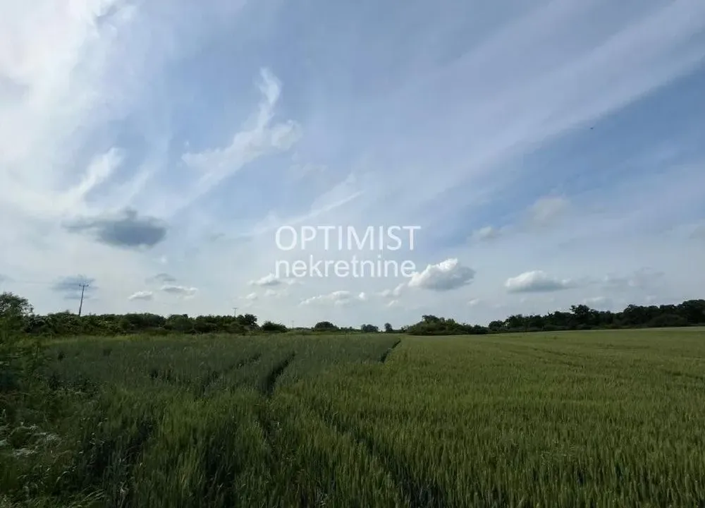 Sale, land lot, 8683m², Surčin, Beograd