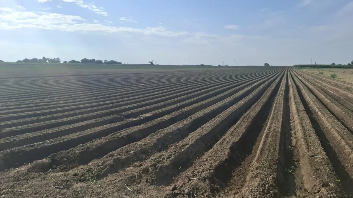 Prodaja, plac, 27500m², Futog, Novi Sad Sve Podlokacije