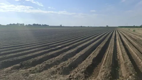Prodaja, plac, 27500m², Futog, Novi Sad Sve Podlokacije - image 8