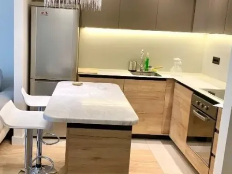 Izdavanje, dvosoban stan, 50m², Savski Venac, Beograd - image 6