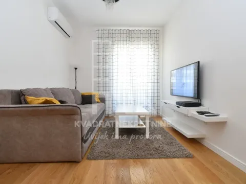 Izdavanje, jednosoban stan, 39m², Central Point, Podgorica - image 1