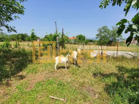 Land Lot for Sale, 4650m2, Dahna, Podgorica Land Lot for Sale, 4650m2, Dahna, Podgorica