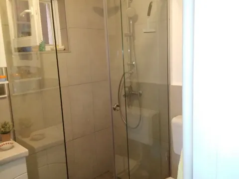 Sale, house, 250m², Dušanovac, Voždovac Sve Podlokacije - image 4