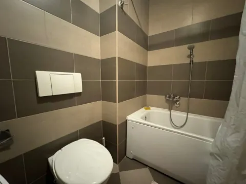 Izdavanje, garsonjera, 30m², Tuški Put, Podgorica - image 5