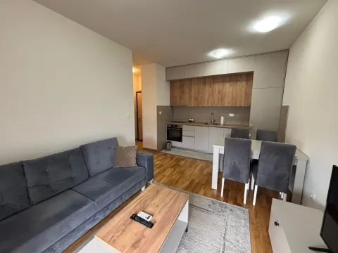 Izdavanje, jednosoban stan, 40m², Zabjelo, Podgorica - image 6