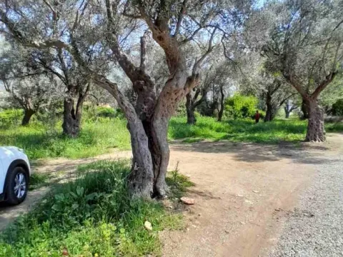 Prodaja, plac, 500m², Bjeliši, Bar - image 3