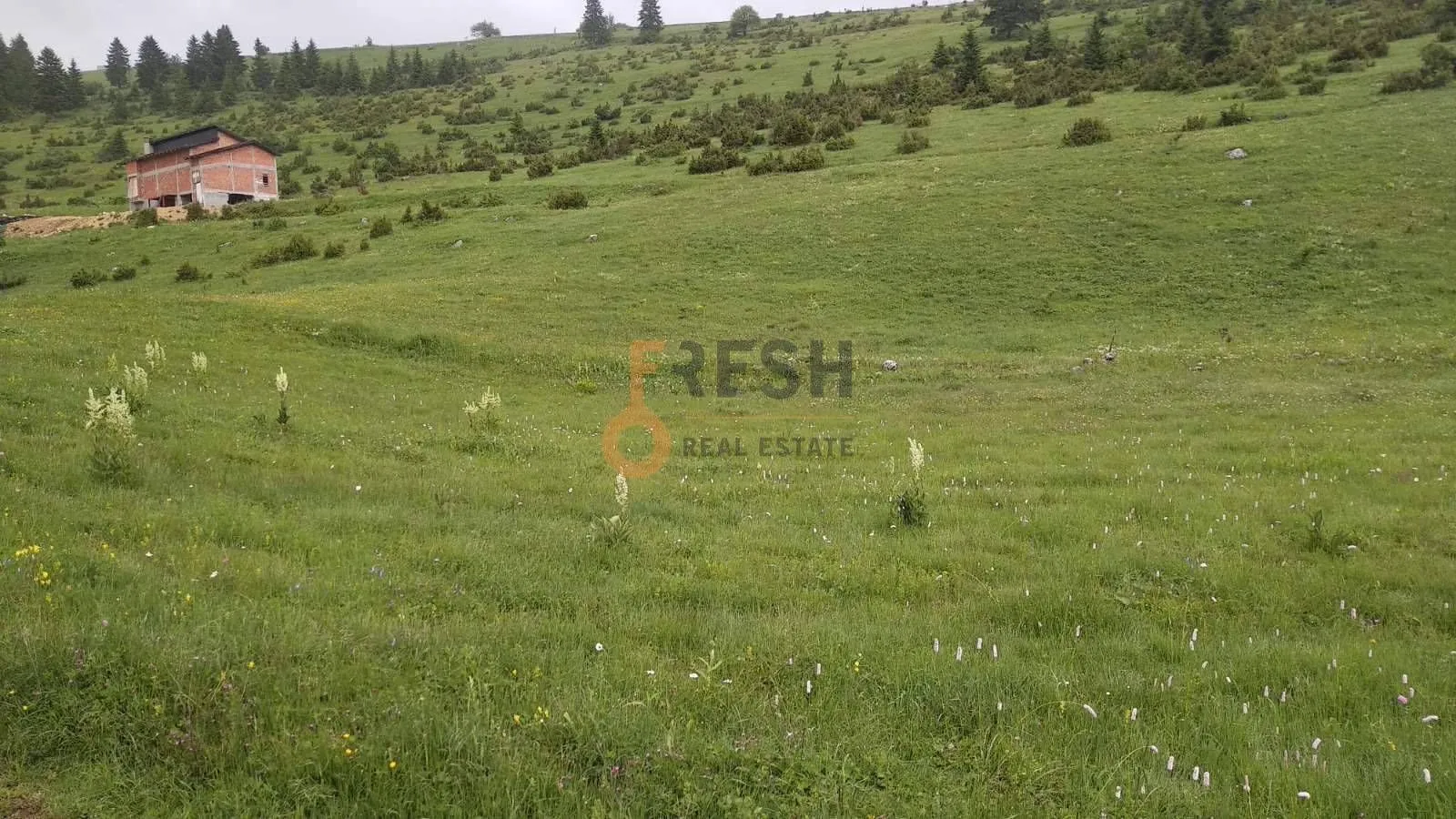 Prodaja, plac, 1600m², Žabljak, Crna Gora