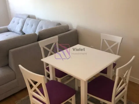 Izdavanje, jednosoban stan, 46m², Central Point, Podgorica - image 2