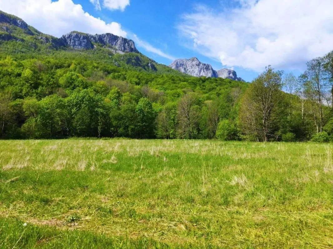 Prodaja, plac, 10000m², Kolašin, Crna Gora