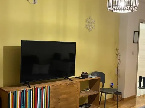 Rent, one bedroom apartment, 49m², Zagorič, Podgorica - image 2