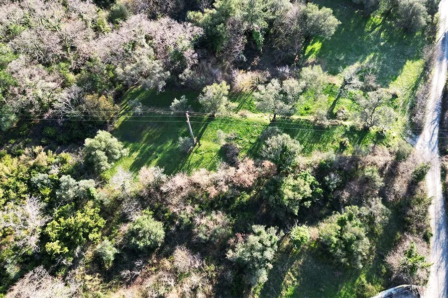 Prodaja, plac, 1650m², Kavač, Kotor