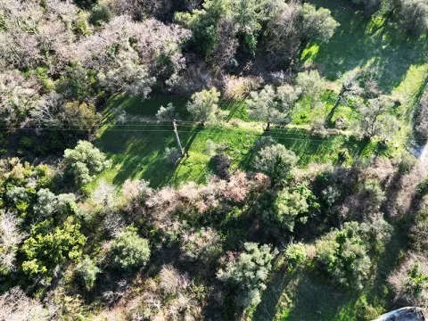 Prodaja, plac, 1650m², Kavač, Kotor - image 4