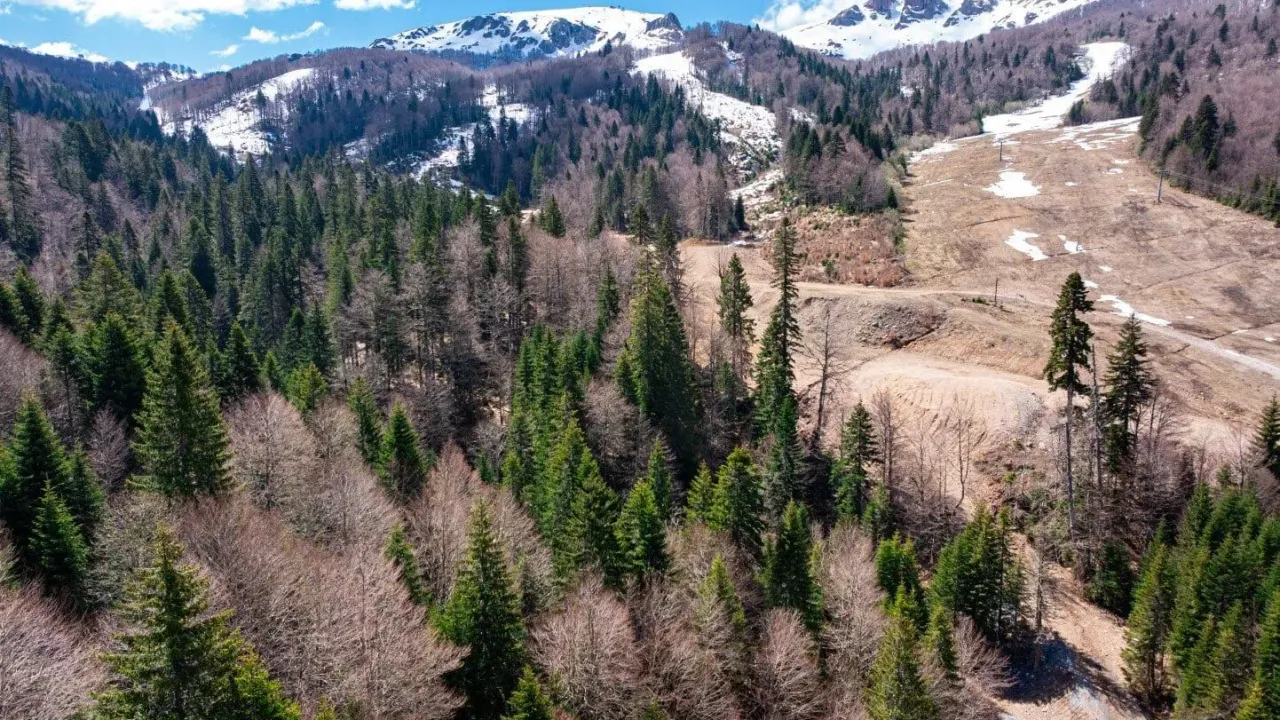 Sale, land lot, 11940m², Kolašin, Crna Gora