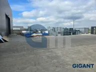 Izdavanje, poslovni prostor, 830m², Dobanovci, Surčin - image 1