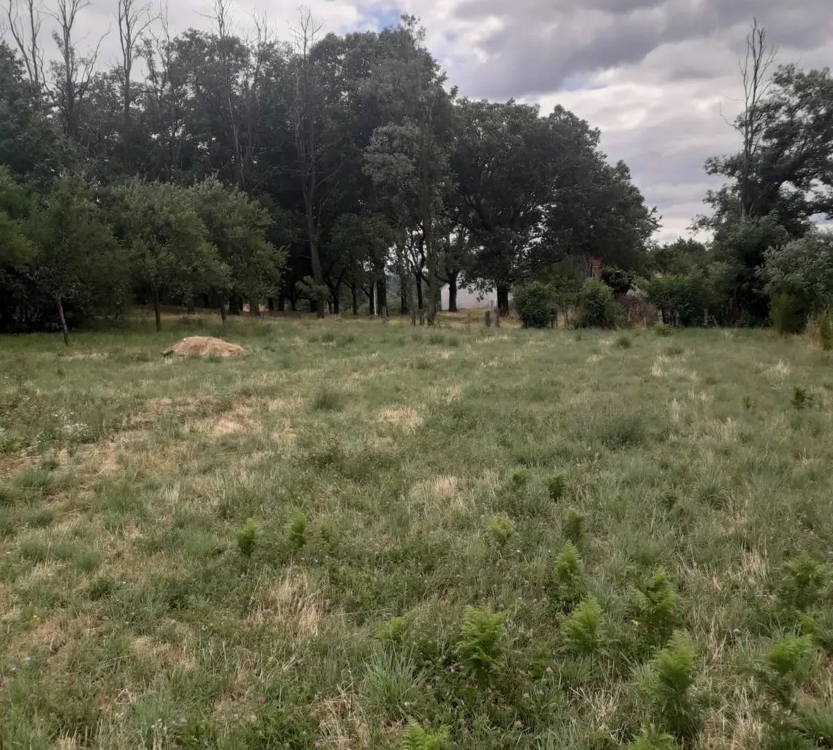 Prodaja, plac, 1000m², Nikšić, Crna Gora
