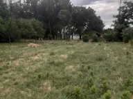 Sale, land lot, 1000m², Nikšić, Crna Gora - image 3