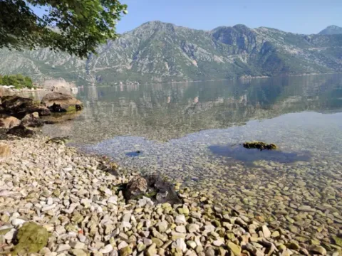 Prodaja, kuća, 113m², Kostanjica, Kotor - image 9