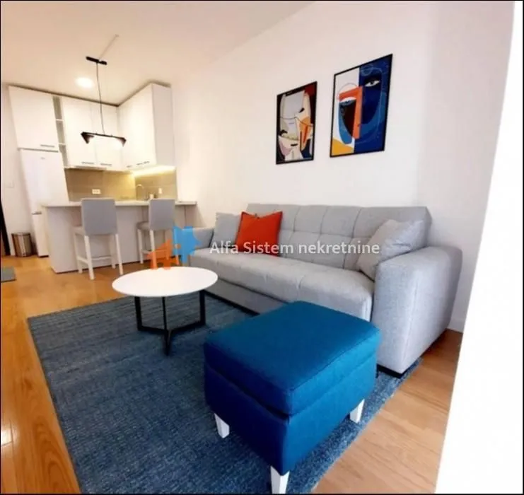 Rent, two bedroom apartment, 37m², Novi Beograd Blok 65, Novi Beograd Sve Podlokacije