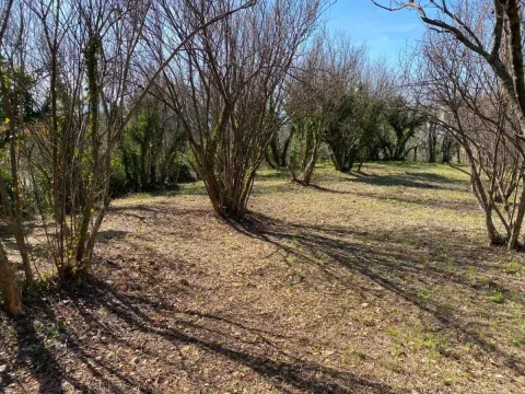 Zemljište in Pečurice
