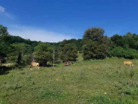 Sale, land lot, 26500m², Živica, Lučani - image 3