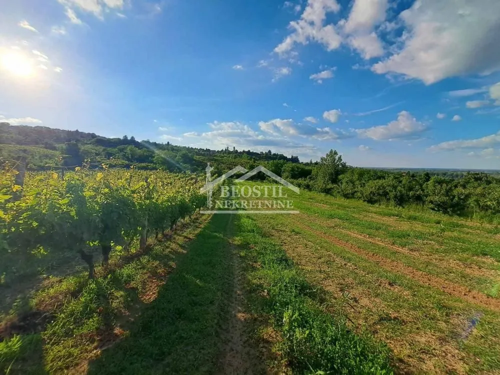 Prodaja, plac, 9563m², Grocka, Beograd