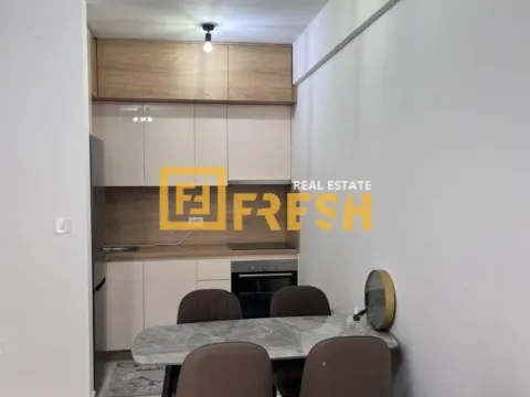 Izdavanje, jednosoban stan, 44m², Zabjelo, Podgorica - image 4