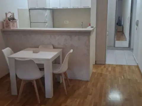 Izdavanje, garsonjera, 34m², Tuški Put, Podgorica - image 2