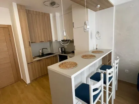 Izdavanje, jednosoban stan, 47m², Budva, Crna Gora - image 7