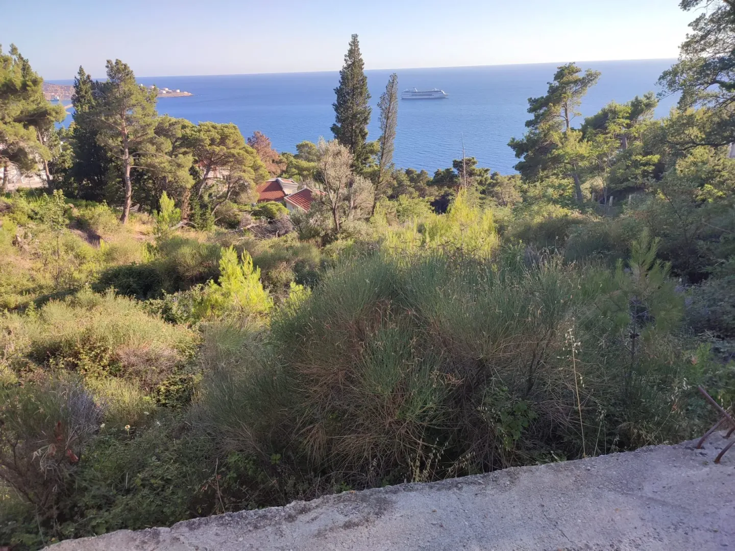 Pogled na more i šumu sa parcele.