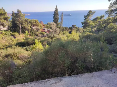 Pogled na more i šumu sa parcele. - image 2