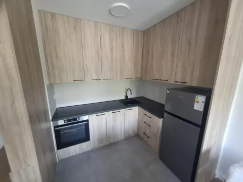 Manja kuhinja sa drvenim elementima, tamnom radnom pločom i frižiderom. - image 6