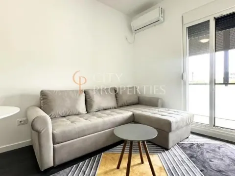 Izdavanje, stan, 27m², Zabjelo, Podgorica - image 4