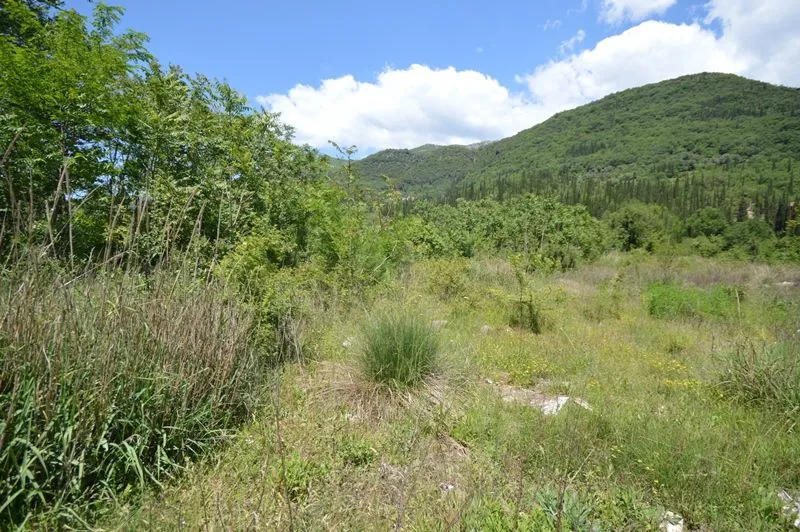Prodaja, plac, 1357m², Sutorina, Herceg Novi