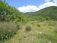 Sale, land lot, 1357m², Sutorina, Herceg Novi - image 8