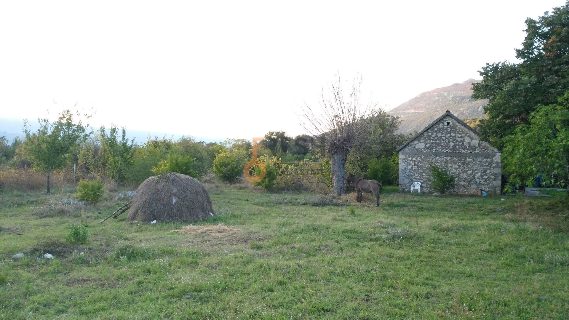 Prodaja, plac, 28000m², Danilovgrad, Crna Gora