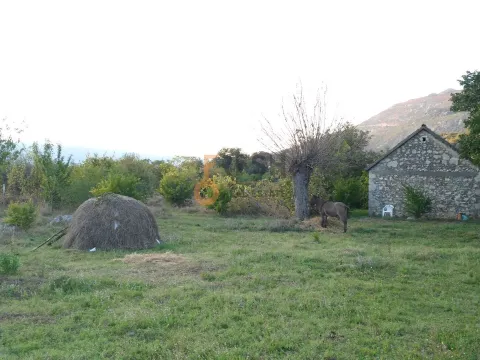 Prodaja, plac, 28000m², Danilovgrad, Crna Gora - image 6