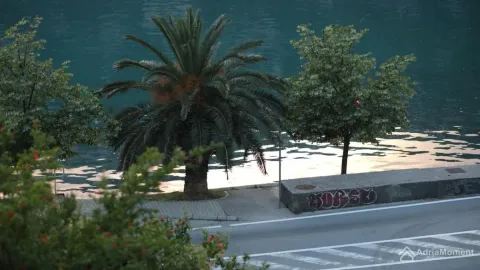 Pogled sa prozora na ulicu, palmom i more. - image 13