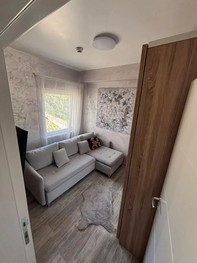 Sale, one bedroom apartment, 31m², Kraljevi Čardaci, Kopaonik