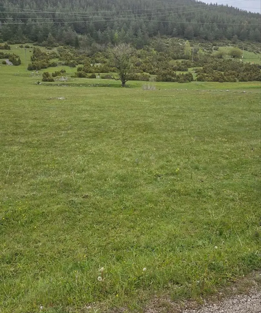 Prodaja, plac, 1400m², Žabljak, Crna Gora