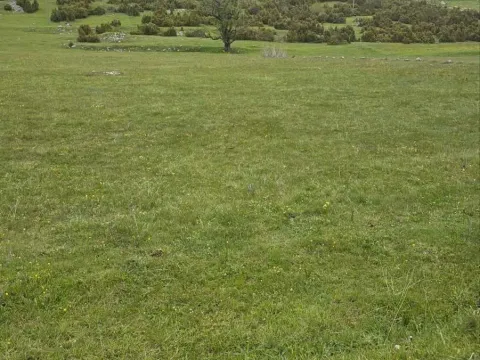 Sale, land lot, 1500m², Žabljak, Crna Gora - image 2