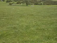 Prodaja, plac, 1500m², Žabljak, Crna Gora - image 2