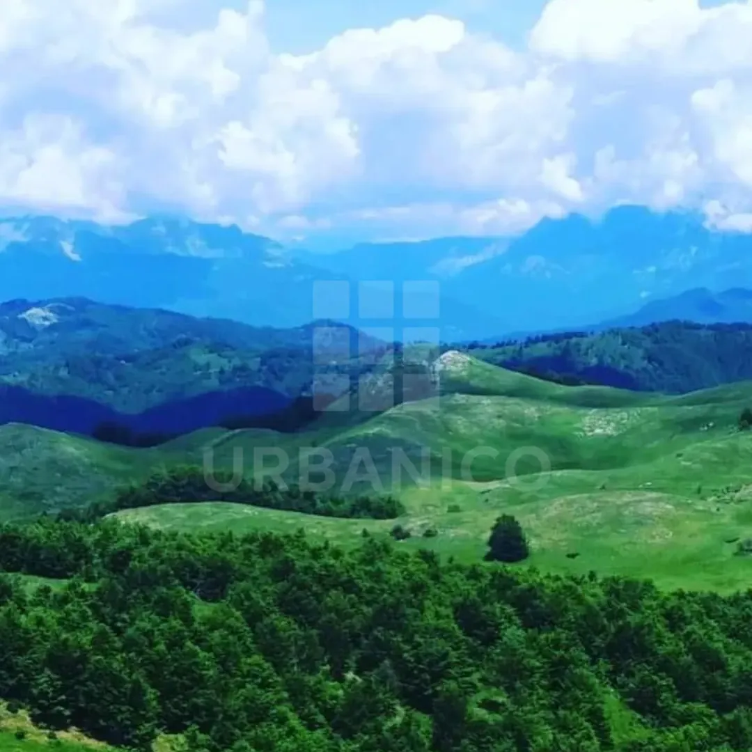 Prodaja, plac, 400000m², Veruša, Podgorica