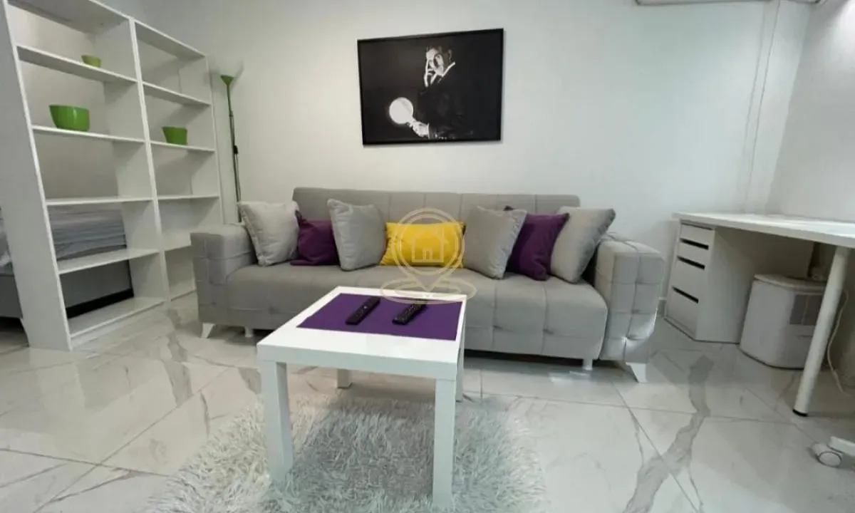 Rent, one bedroom apartment, 30m², Vračar Sve Podlokacije, Beograd
