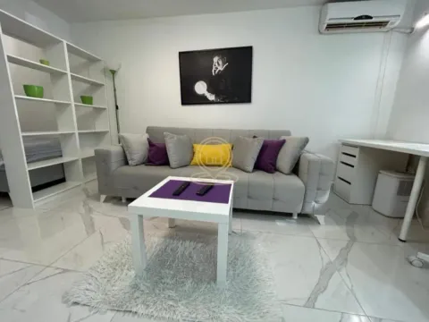 Rent, one bedroom apartment, 30m², Vračar Sve Podlokacije, Beograd - image 1