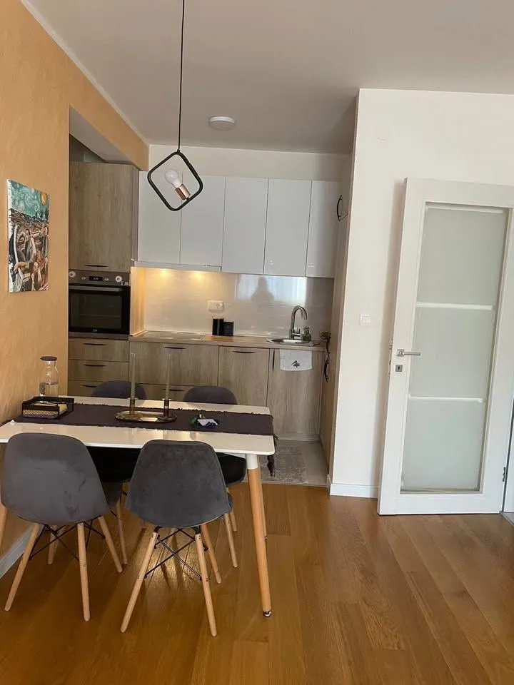 Izdavanje, jednosoban stan, 50m², Central Point, Podgorica