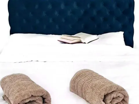 Prodaja, kuća, 300m², Banoštor, Beočin - image 19