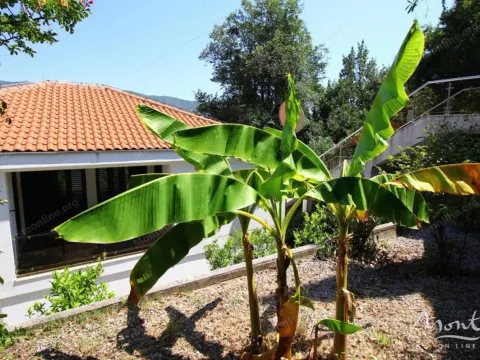 Prodaja, kuća, 188m², Sasovići, Herceg Novi - image 31