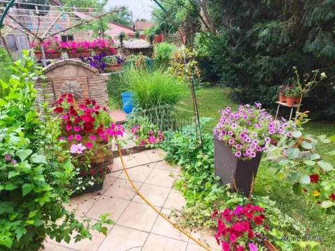 Sale, house, 180m², Železničko Naselje, Subotica - image 3