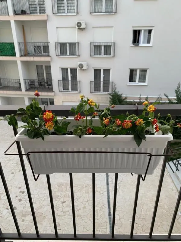 Prodaja, jednosoban stan, 46m², Lazi, Budva